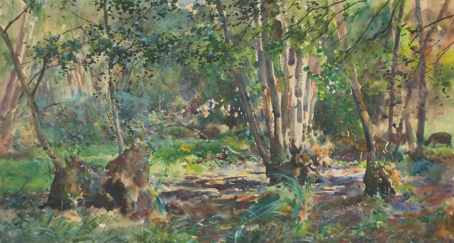 Inside A Forest With Roe Deer