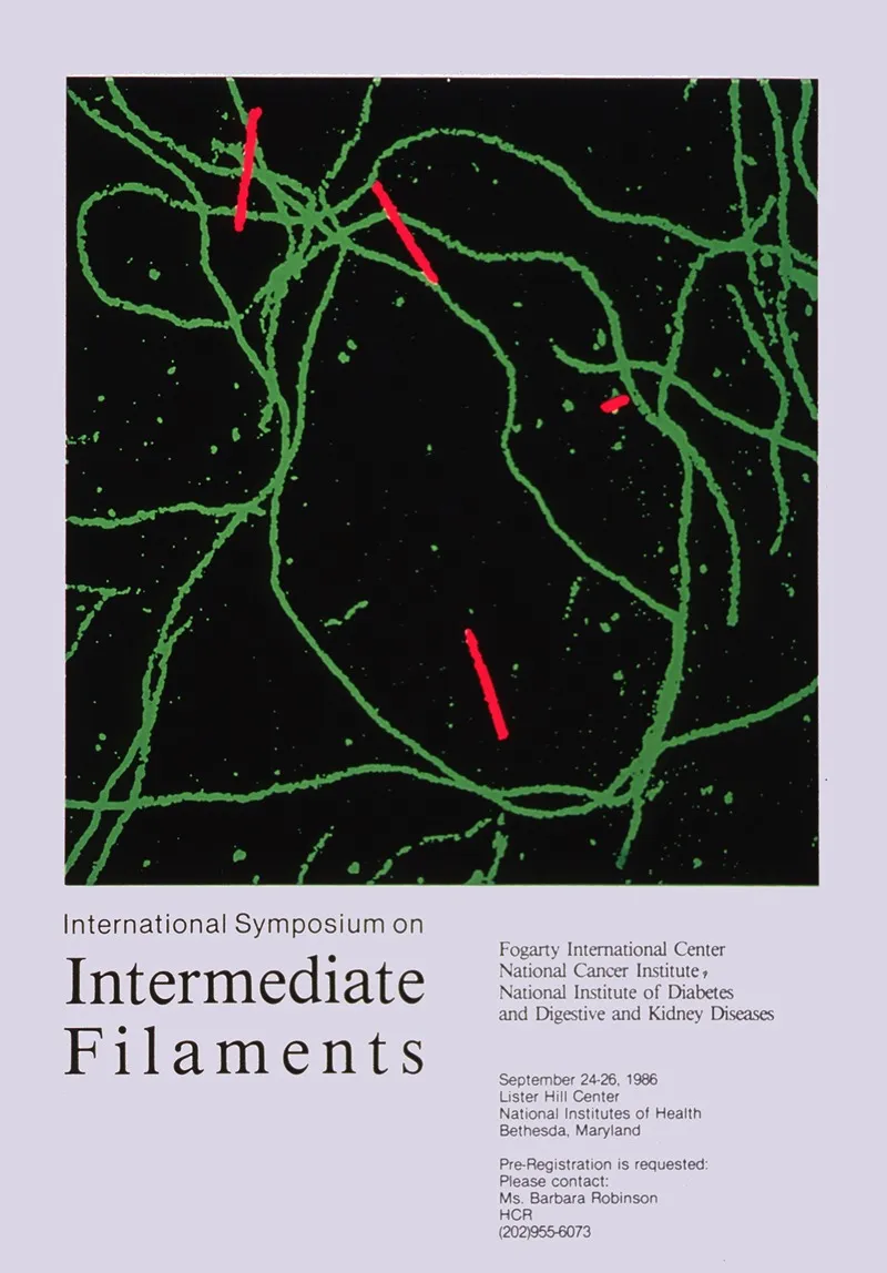 International Symposium On Intermediate Filaments