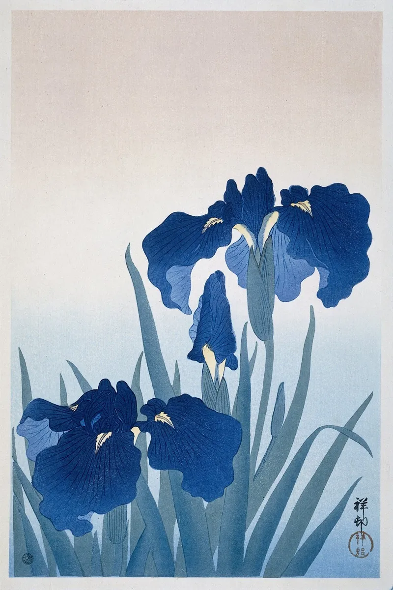 Irises 3 by Ohara Koson - Canvas Print