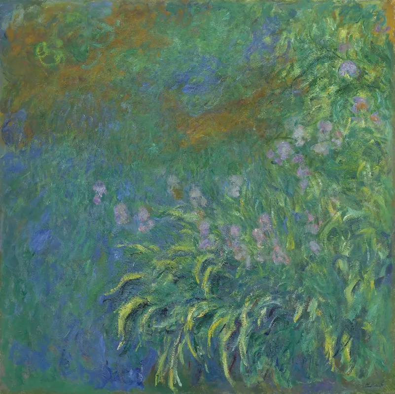 Irises 5