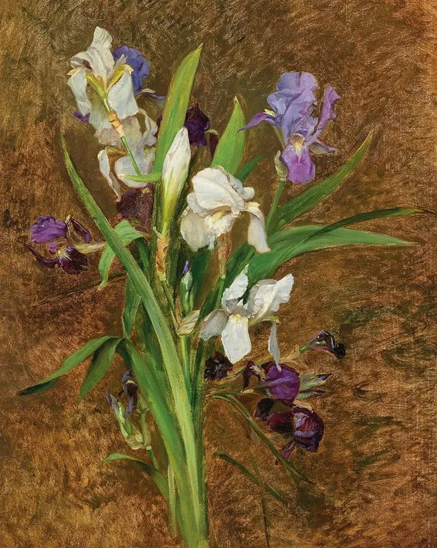 Irises 7
