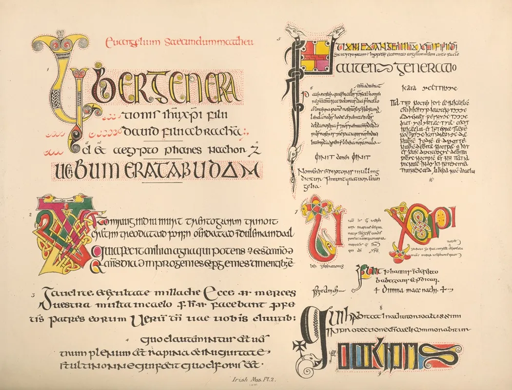 Irish‎ ‎mss Ii