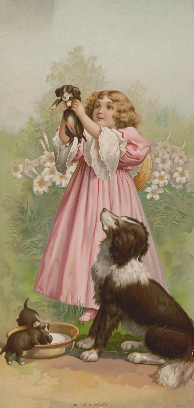 Isnt He A Beauty 2 by Knapp &amp; Co. - Canvas Print