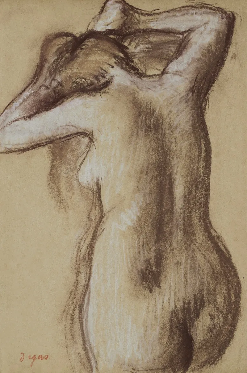Jeune Femme Nue Se Coiffant