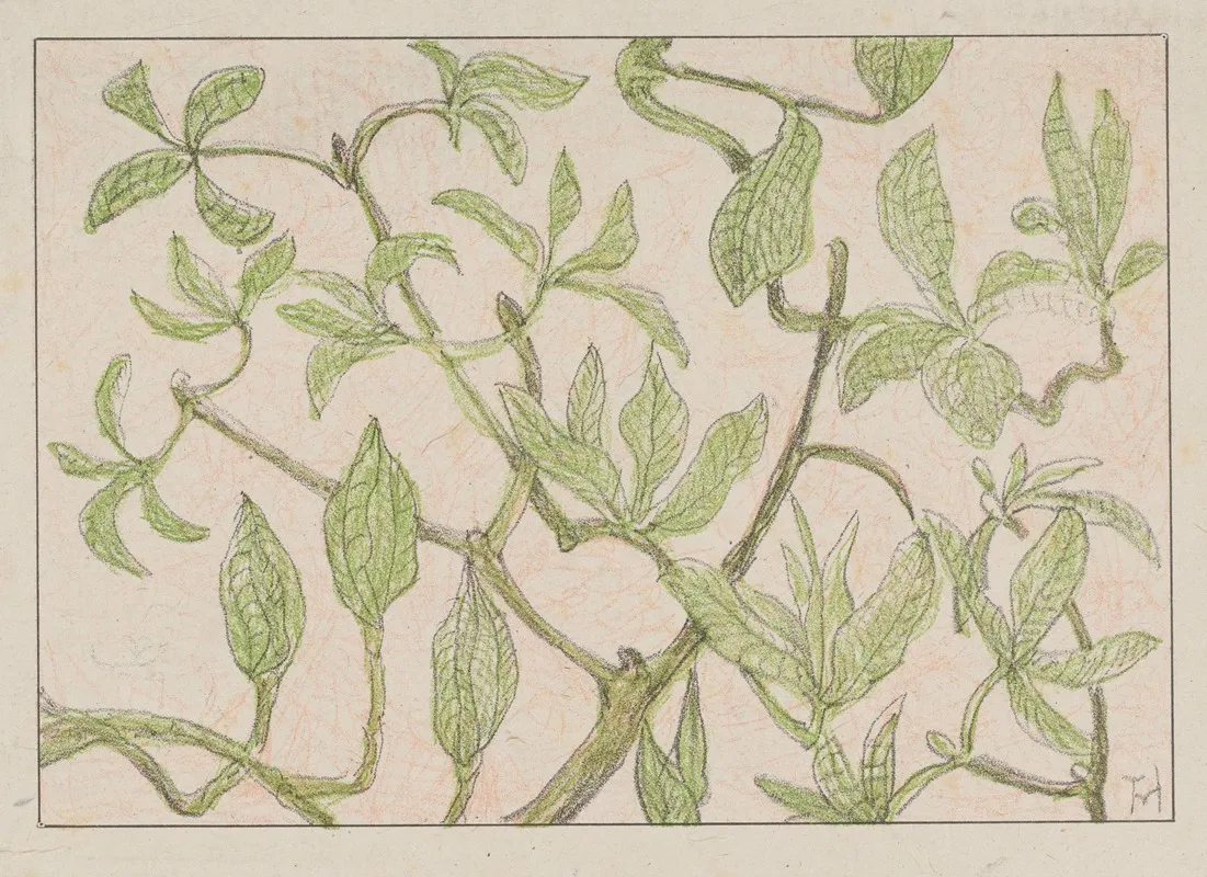 Jonge Bladeren En Knoppen