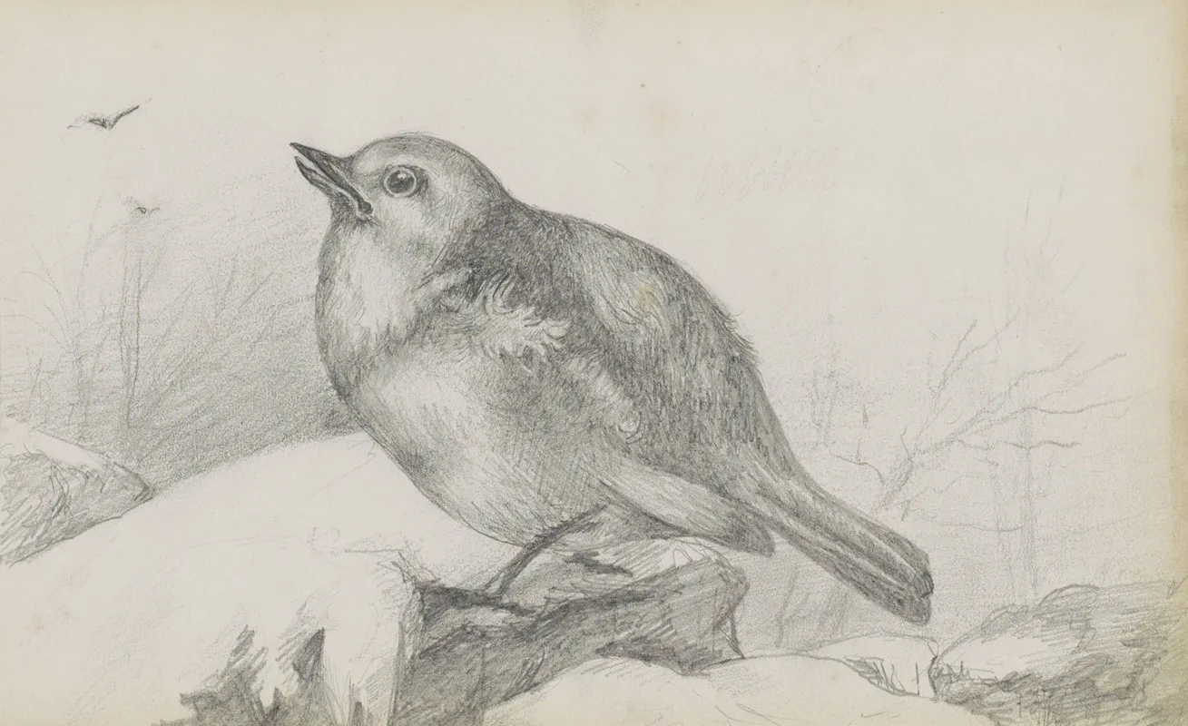 Jonge Vogel Op Een Steen