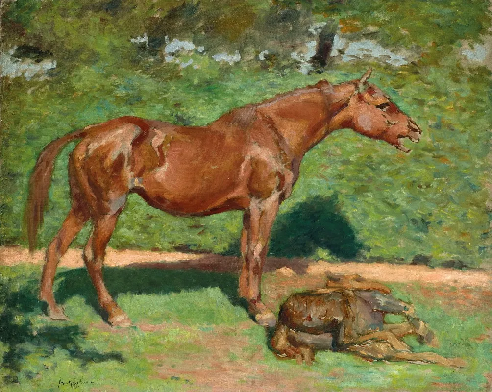 Jument Et Son Poulain