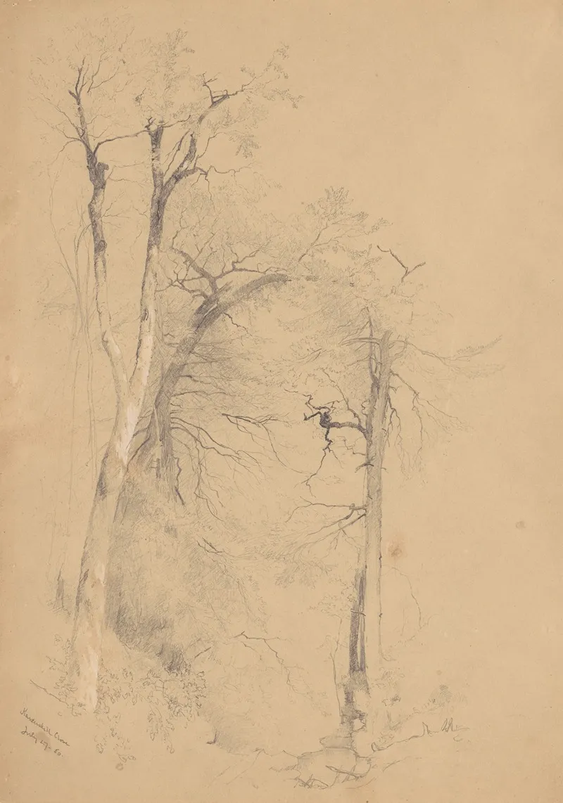 Kauterskill Clove by Jervis McEntee - Canvas Print