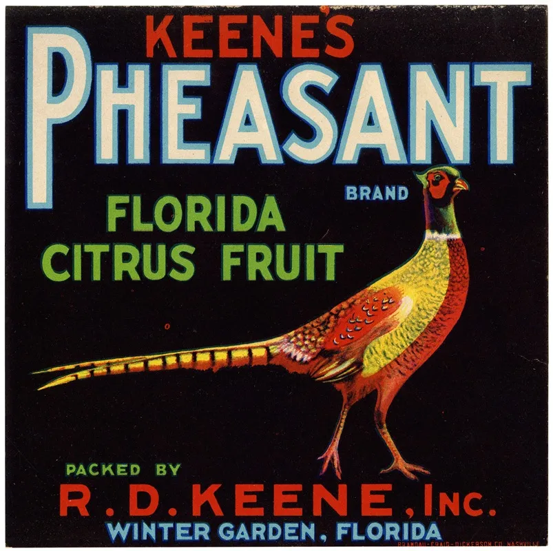 Keenes Pheasant Brand Florida Citrus Fruit Label 2