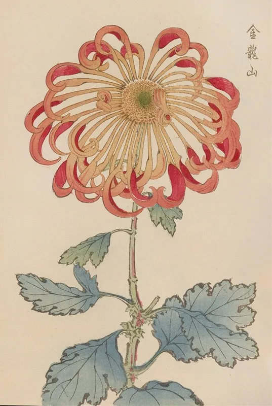 Keika Hyakugiku Pl 08