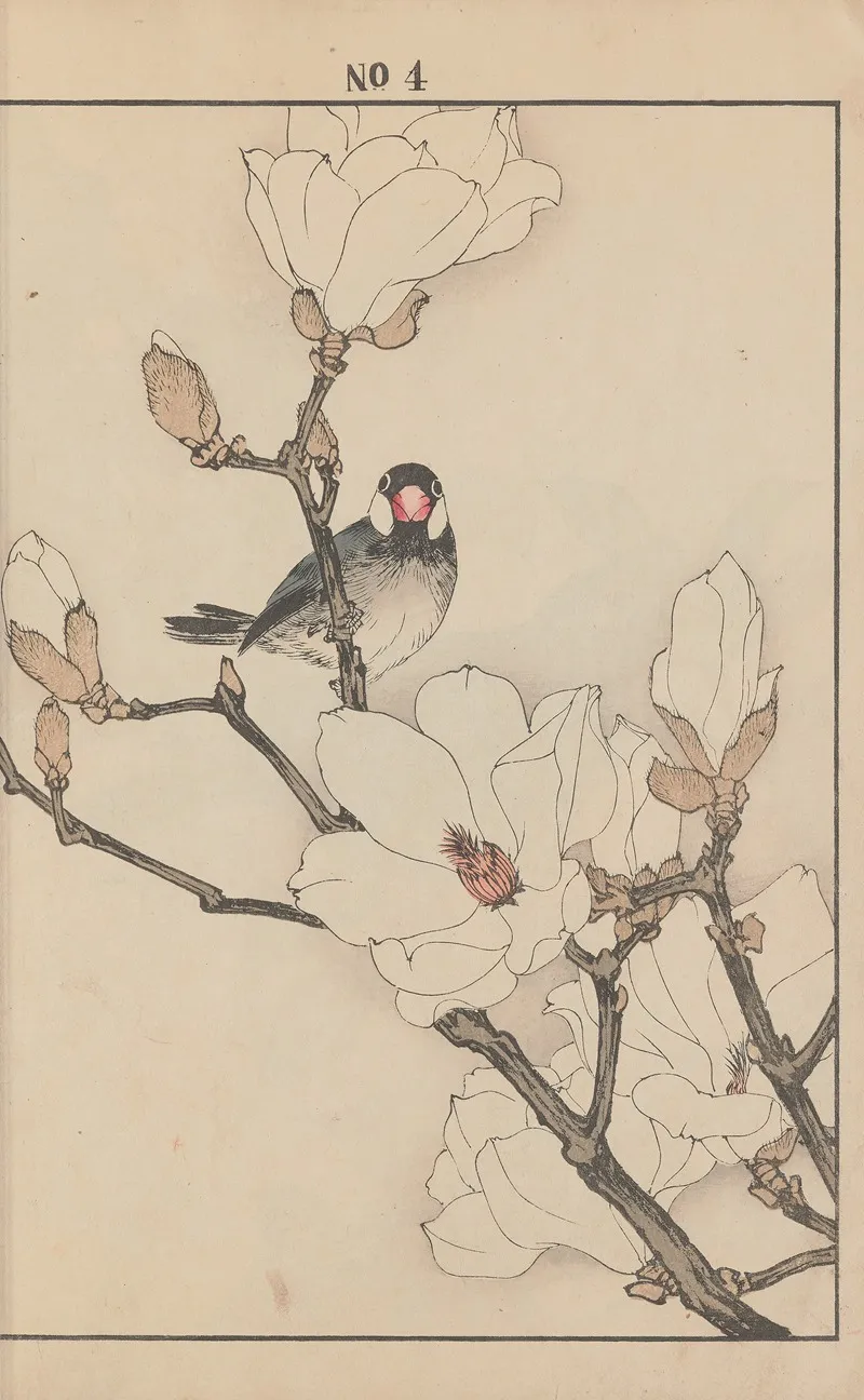 Keinen Kacho Gafu Pl 046