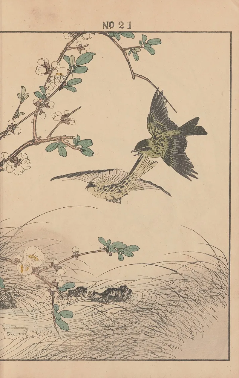 Keinen Kacho Gafu Pl 068