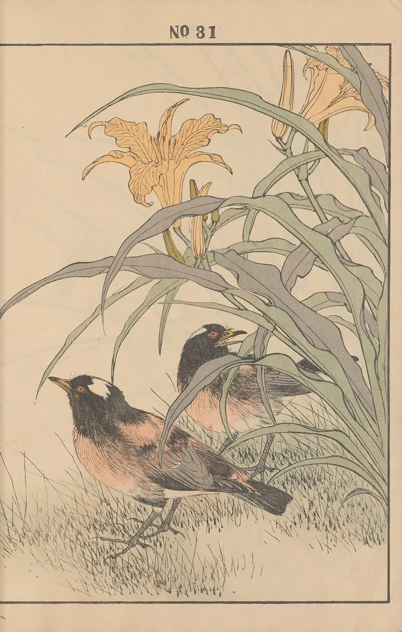 Keinen Kacho Gafu Pl 082