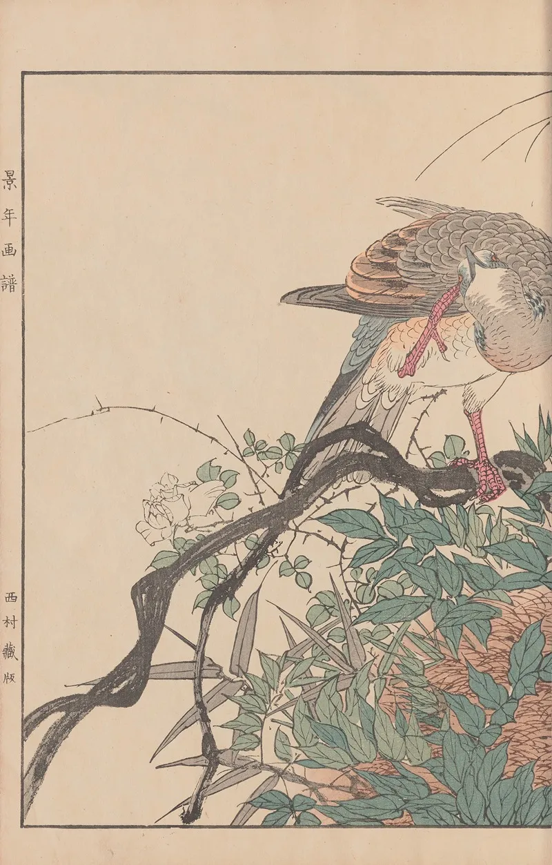 Keinen Kacho Gafu Pl 115