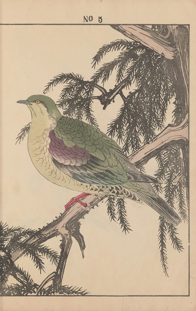 Keinen Kacho Gafu Pl 128