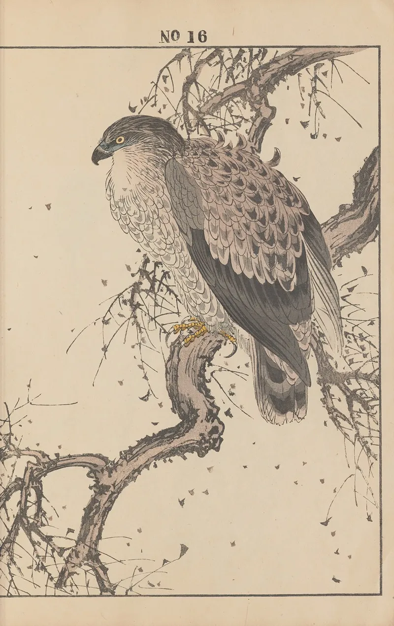 Keinen Kacho Gafu Pl 140