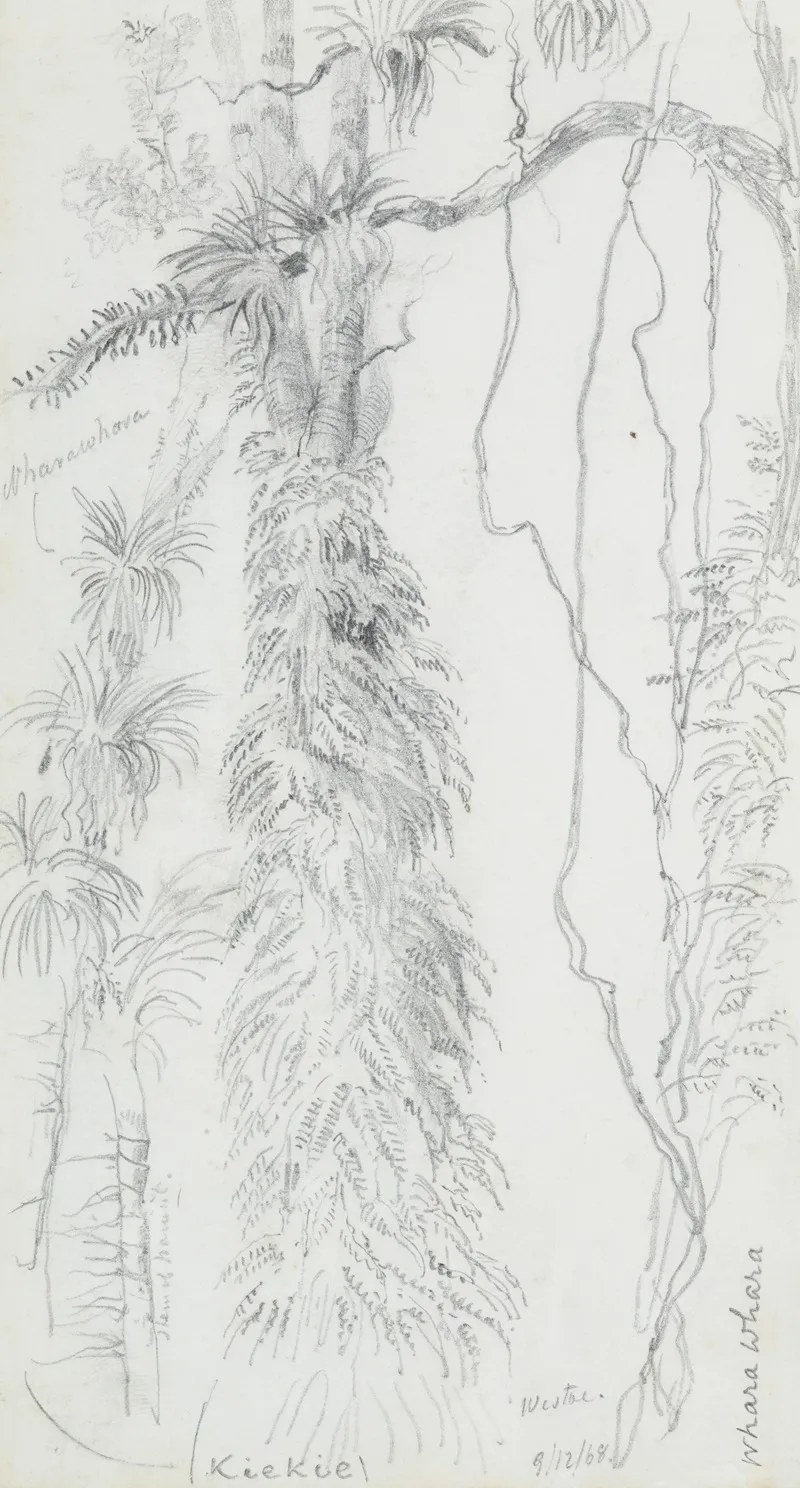 Kiekie And Wharawhara At Westoe
