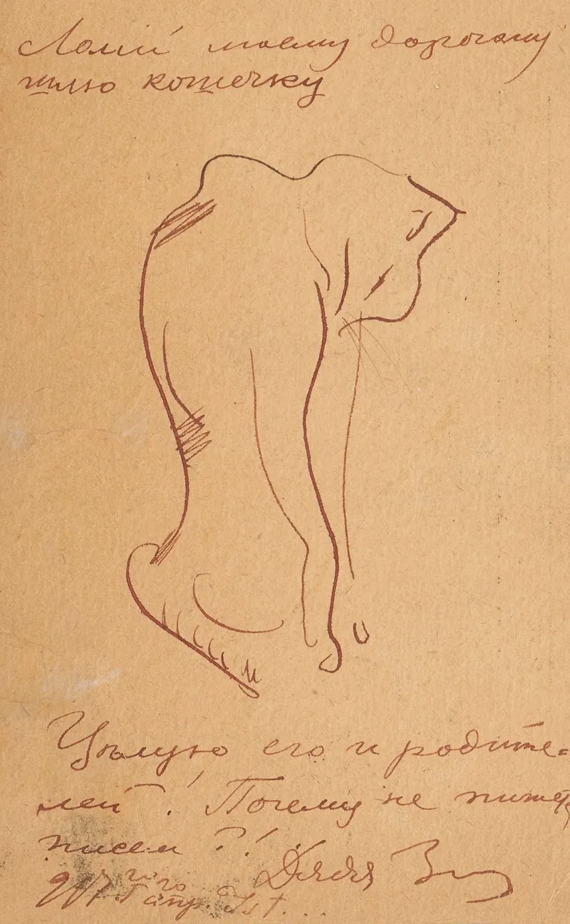Kitten