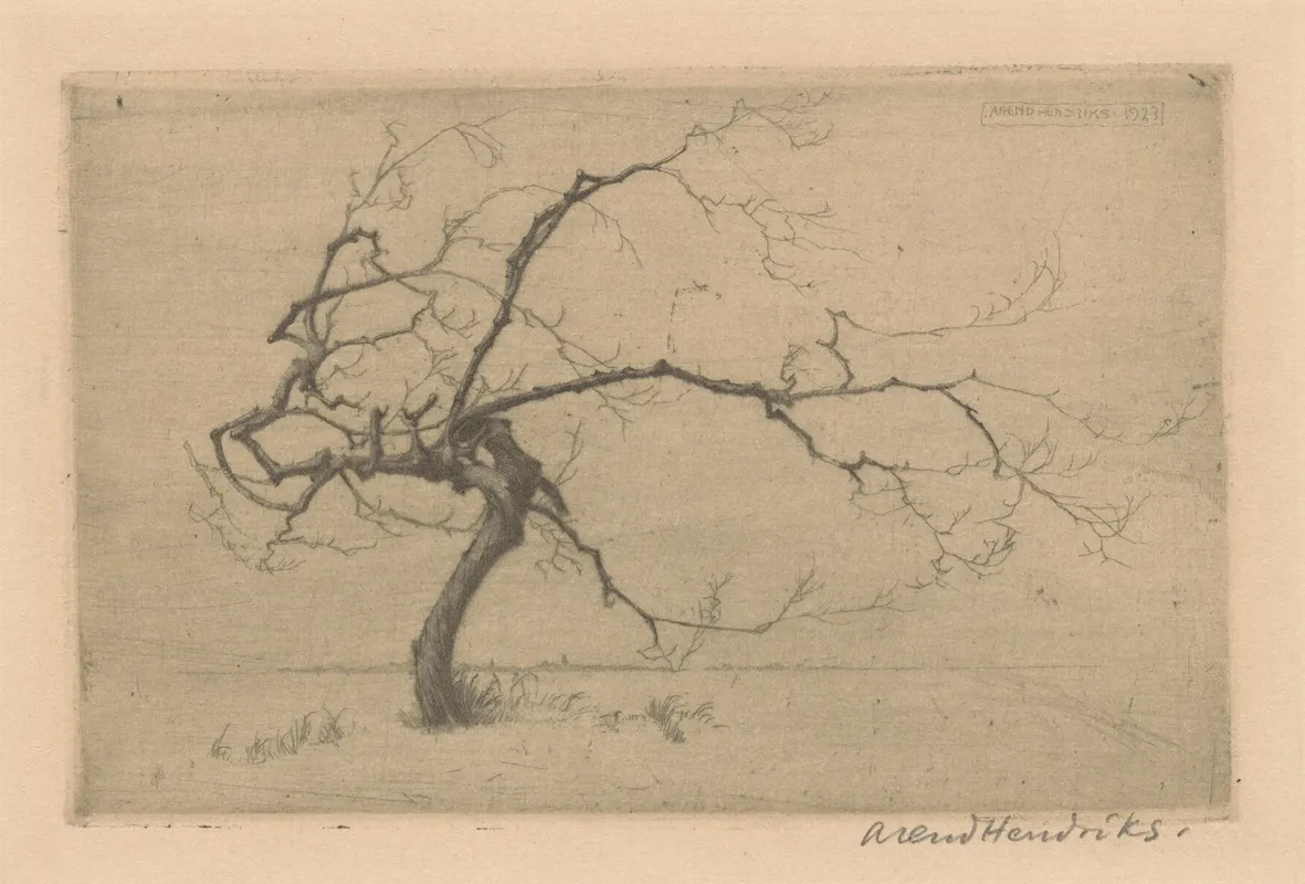 Klein Boompje by Arend Hendriks - Canvas Print