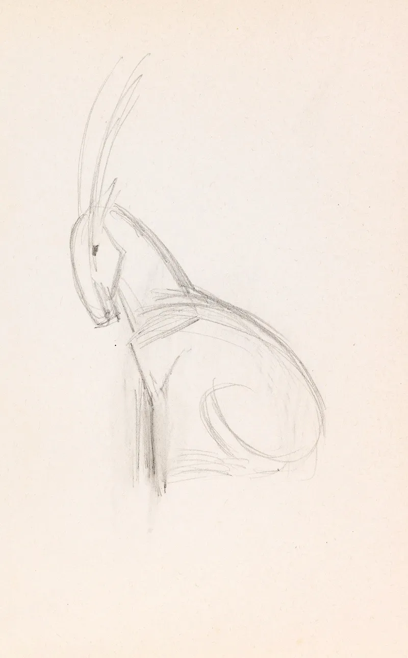 Kleiner Steinbock
