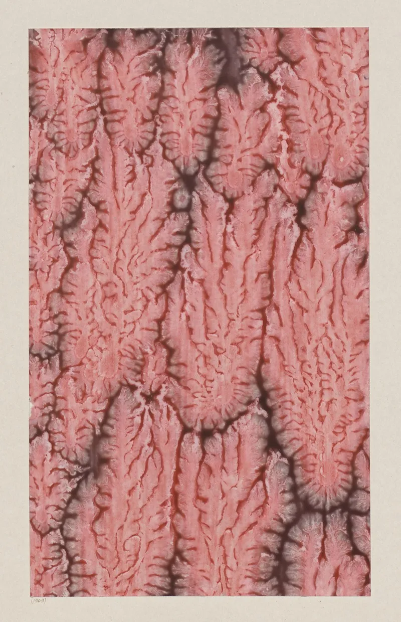 Kleisterpapier 17