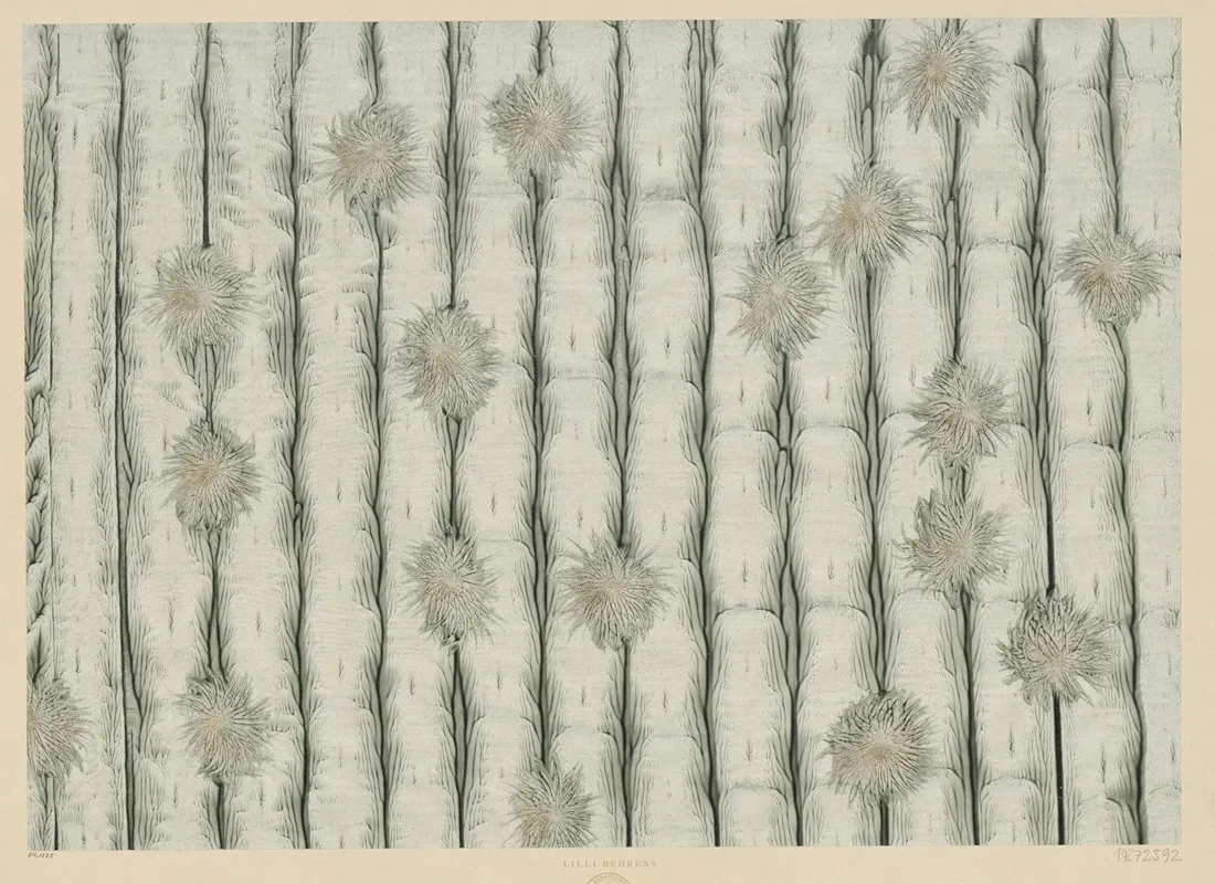 Kleisterpapier Bluten