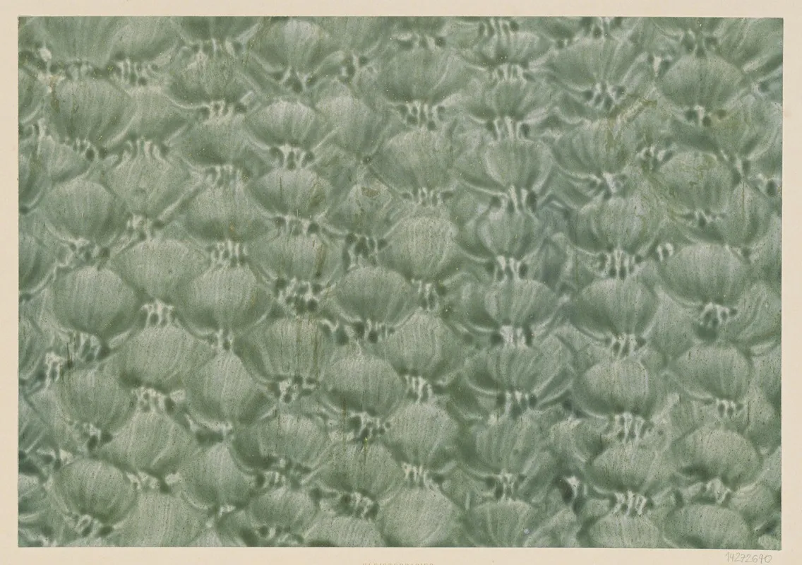 Kleisterpapier Mit Pinseldekor 6