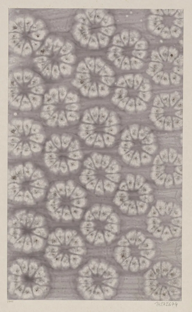 Kleisterpapier Mit Stilisierten Bluten 2