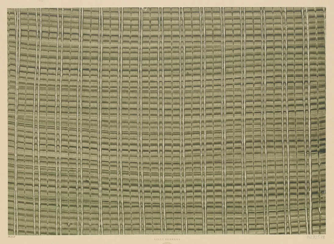 Kleisterpapier Raster