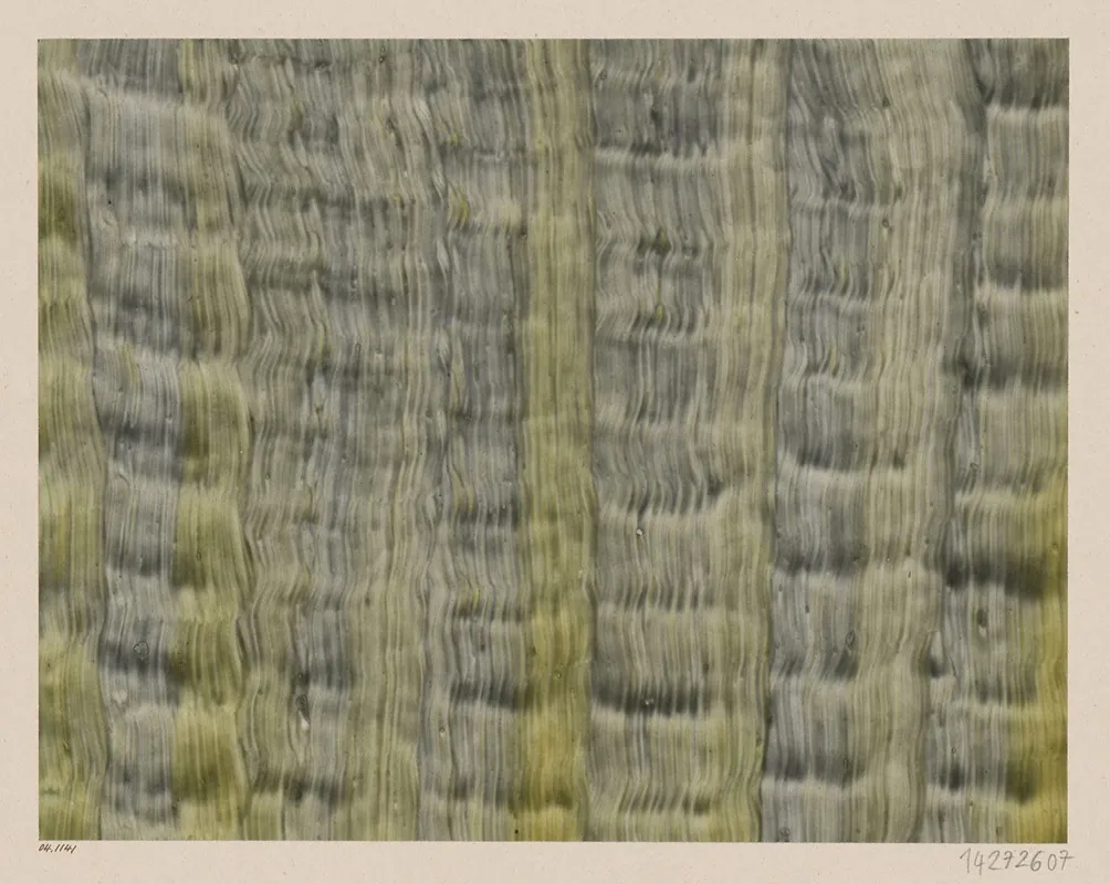Kleisterpapier Streifen 3