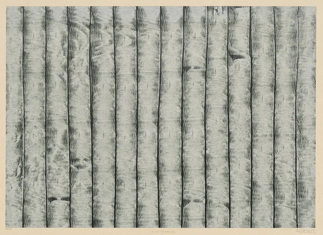 Kleisterpapier Streifen 4