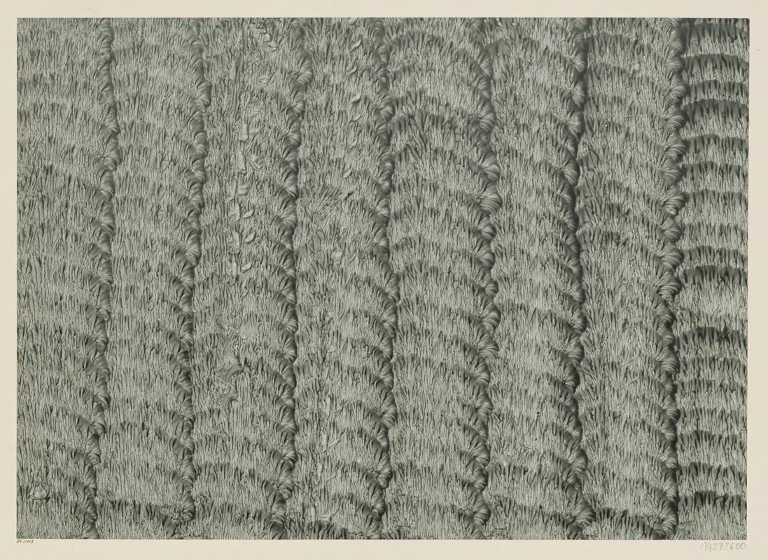 Kleisterpapier Streifenbander 5