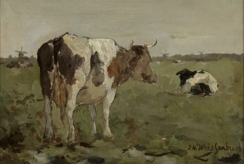 Koeien In Een Polderweide