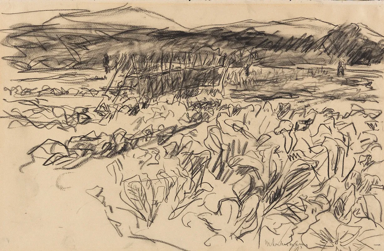 Kohlfeld by Max Liebermann - Canvas Print