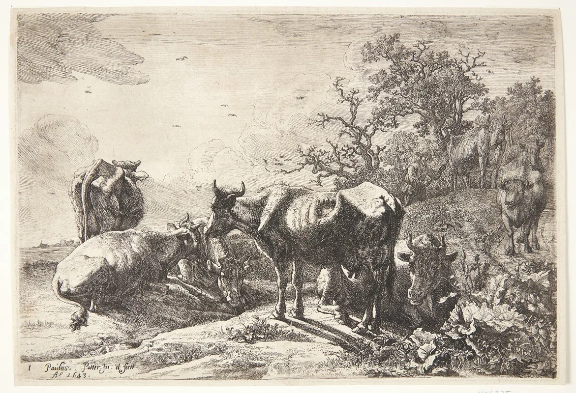 Kohyrden by Paulus Potter - Canvas Print