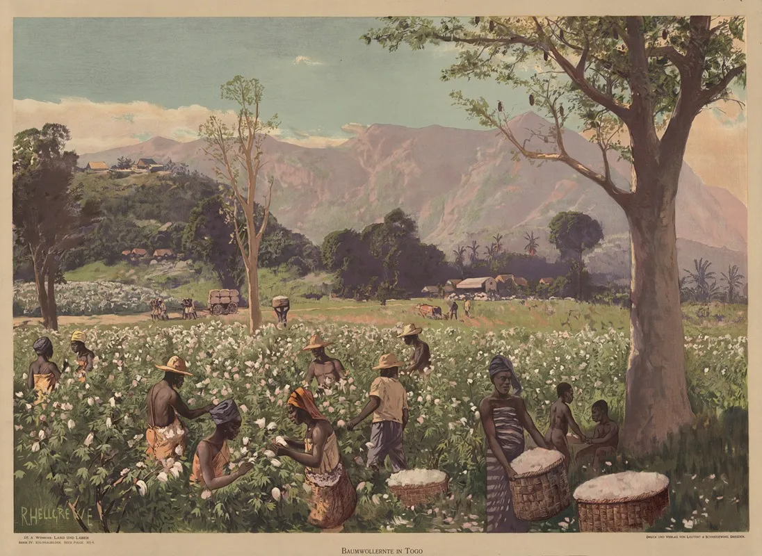 Kolonialbilder Neue Folge Baumwollernter In Togo by Rudolf Hellgrewe - Canvas Print
