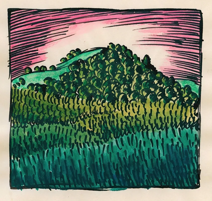 Komposition Aus Pflaster Und Wiese Xi