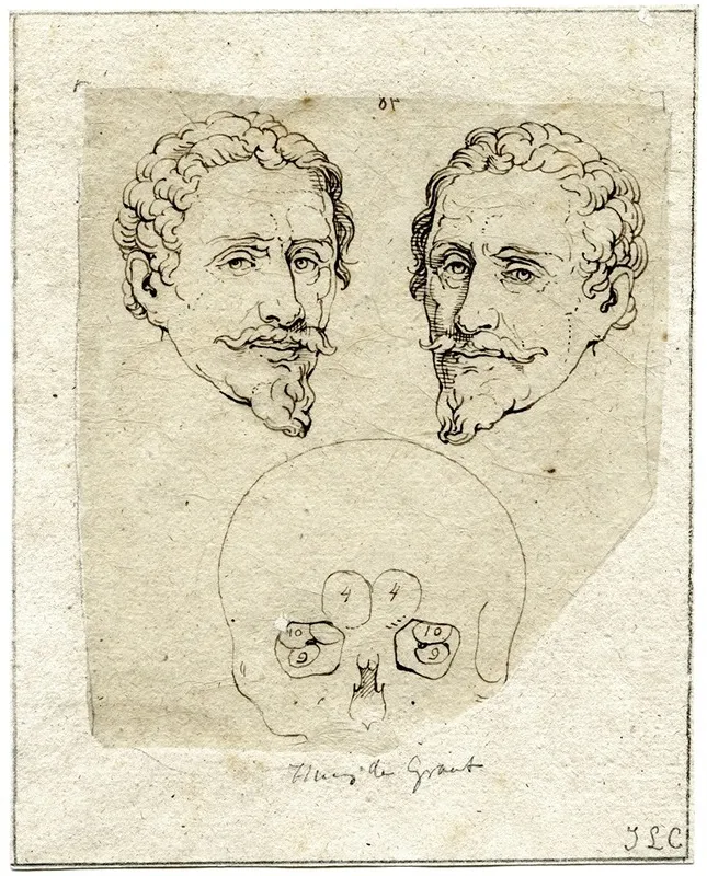 Kop Van Hugo De Groot Beeld Spiegelbeeld En Schedel