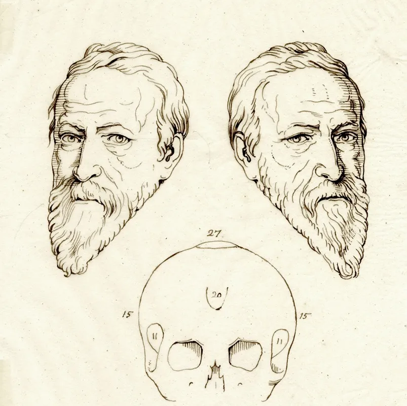 Kop Van Oldenbarnevelt Beeld Spiegelbeeld En Schedel