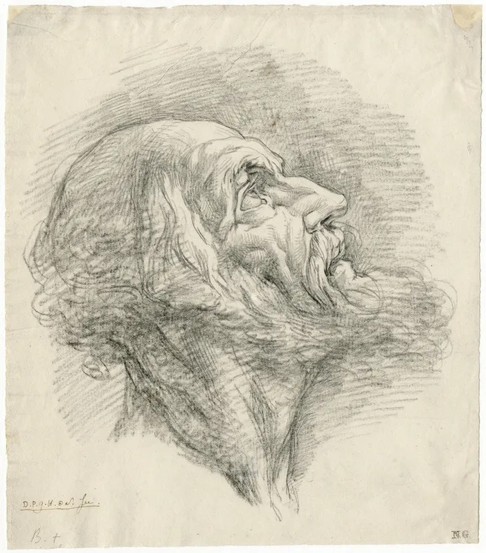 Kop Van Oude Man En Profil