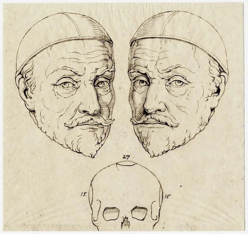 Kop Van Willem Van Oranje Beeld Spiegelbeeld Schedel