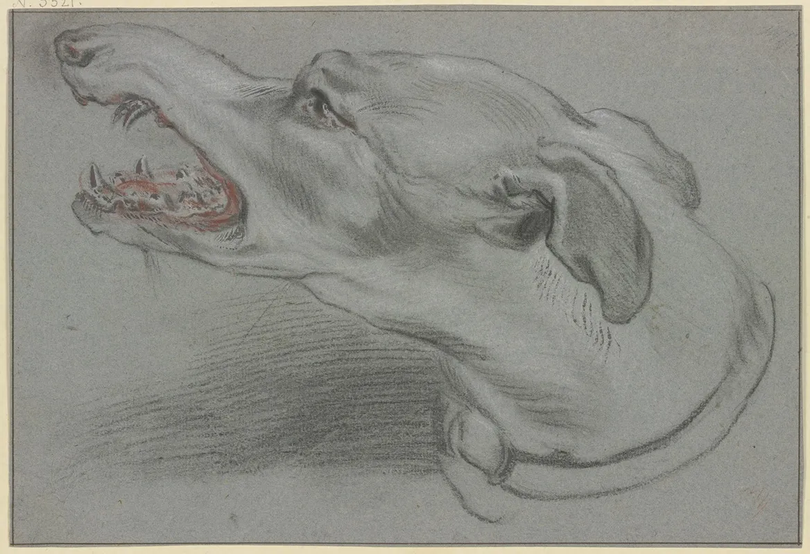 Kopf Eines Windhundes Nach Links