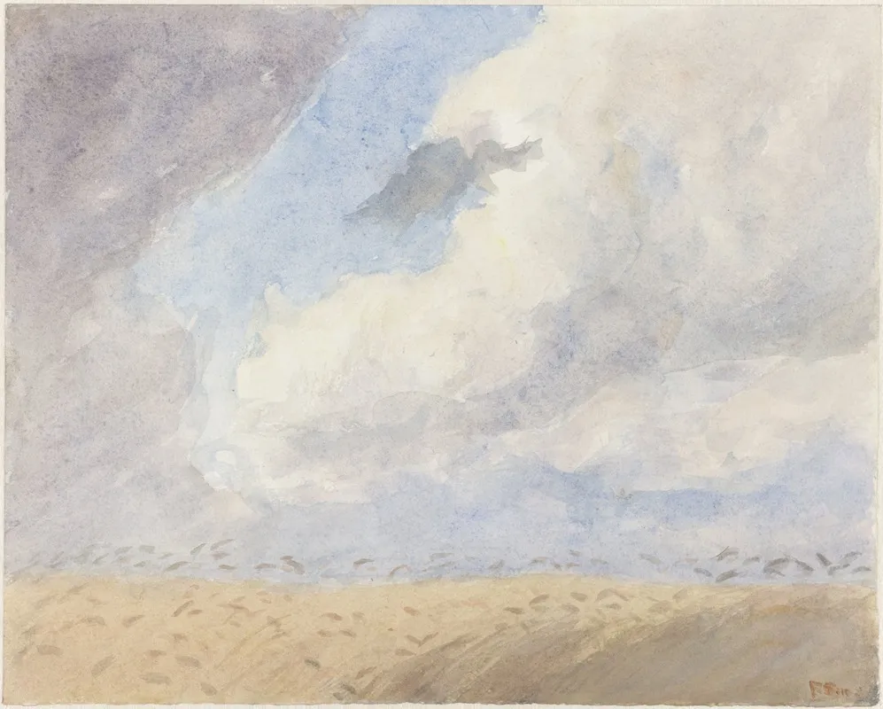 Korenveld