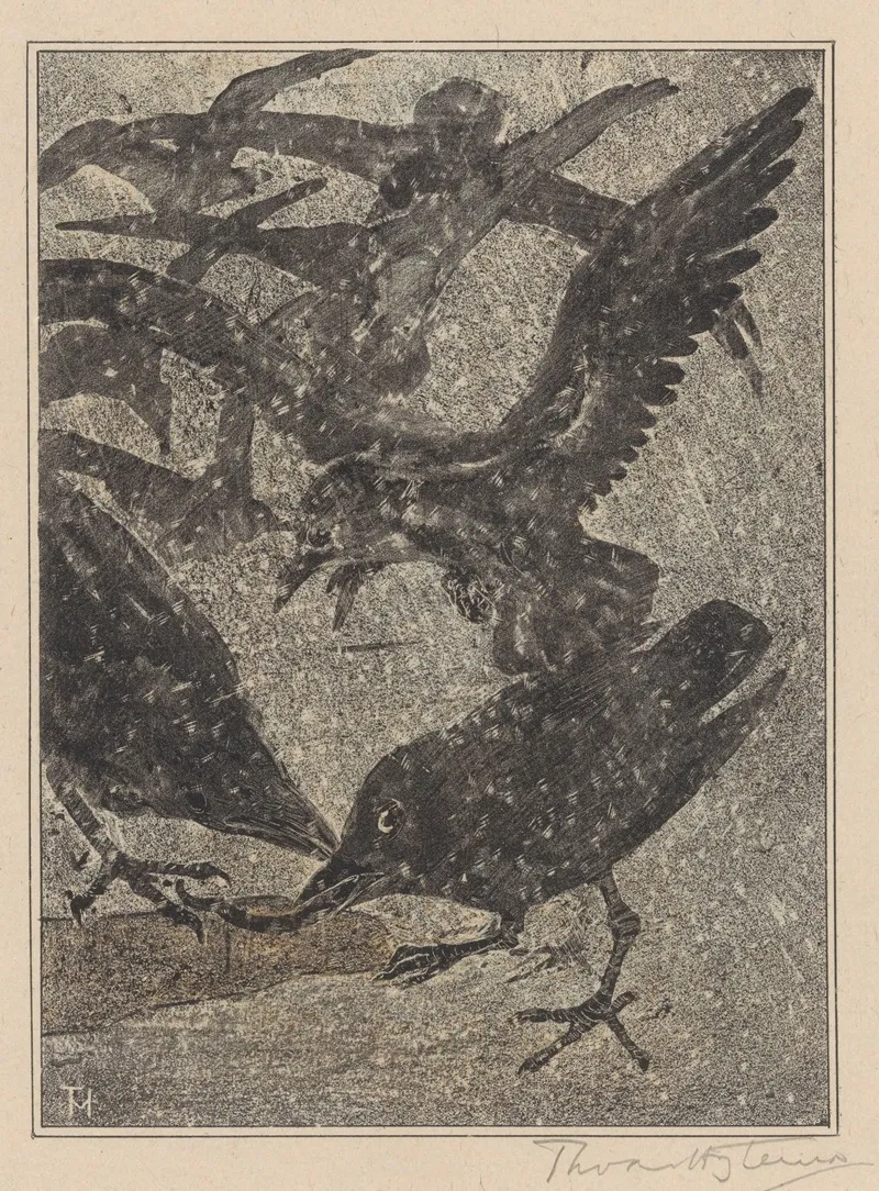 Kraaien In De Sneeuw