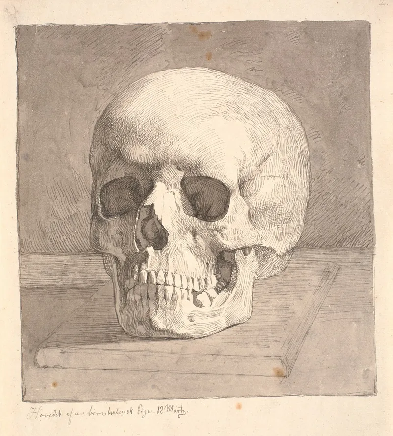 Kranium Set Forfra by Johan Thomas Lundbye - Canvas Print