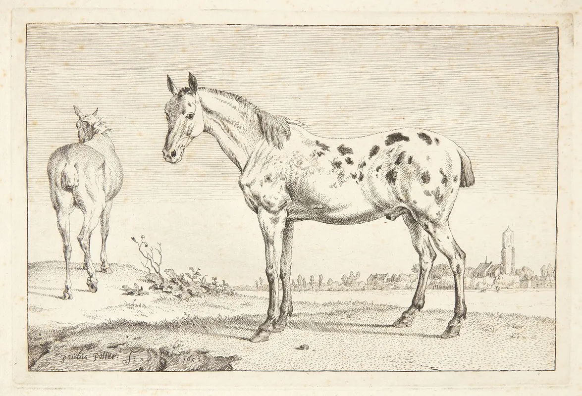 Kupperet Hest by Paulus Potter - Canvas Print