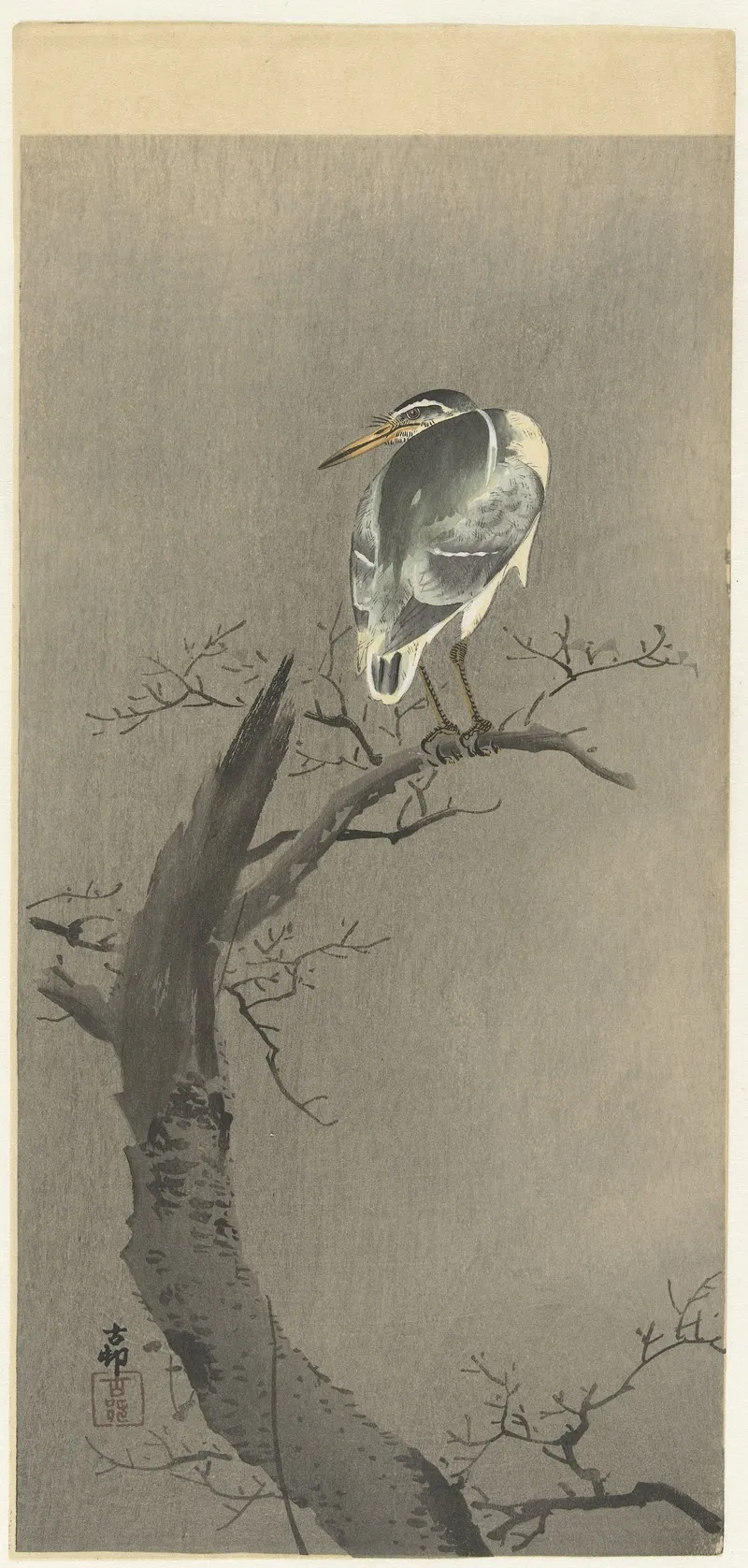Kwak On Branch by Ohara Koson - Canvas Print