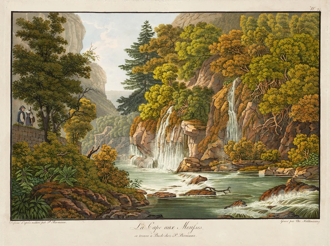 La Cape Aux Mousses by Peter Birmann - Canvas Print