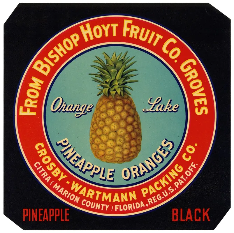 Label For Orange Lake Pineapple Oranges Black