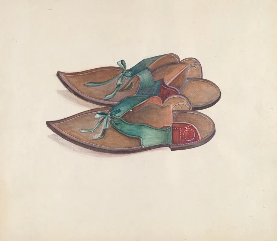 Ladys Overshoes